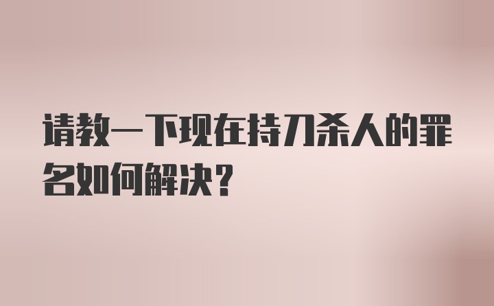 请教一下现在持刀杀人的罪名如何解决？