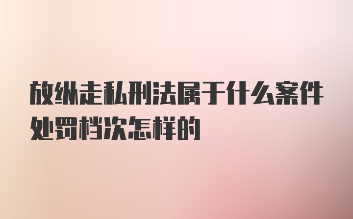 放纵走私刑法属于什么案件处罚档次怎样的