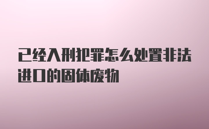 已经入刑犯罪怎么处置非法进口的固体废物