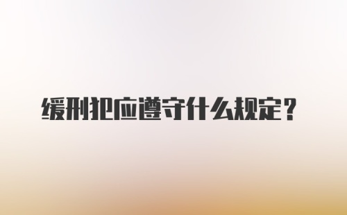 缓刑犯应遵守什么规定？