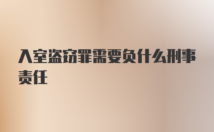 入室盗窃罪需要负什么刑事责任