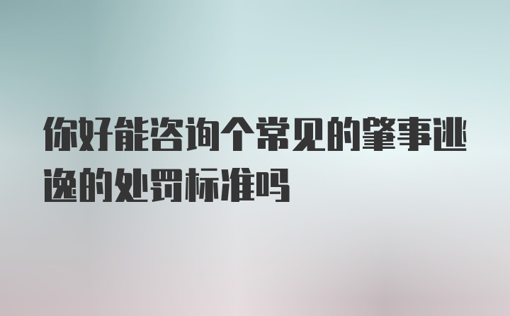 你好能咨询个常见的肇事逃逸的处罚标准吗