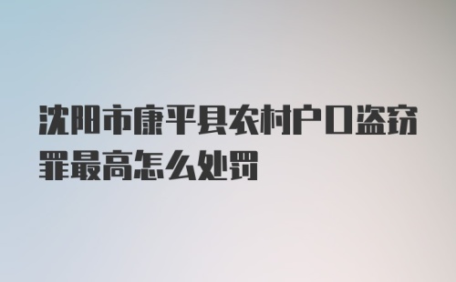 沈阳市康平县农村户口盗窃罪最高怎么处罚