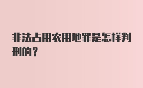 非法占用农用地罪是怎样判刑的？