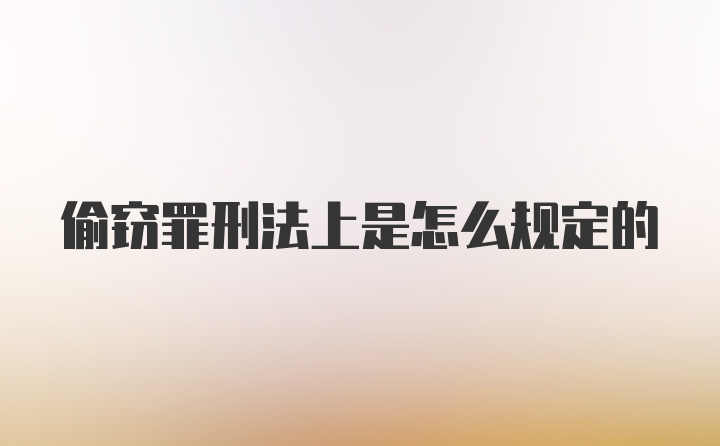 偷窃罪刑法上是怎么规定的