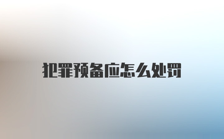 犯罪预备应怎么处罚