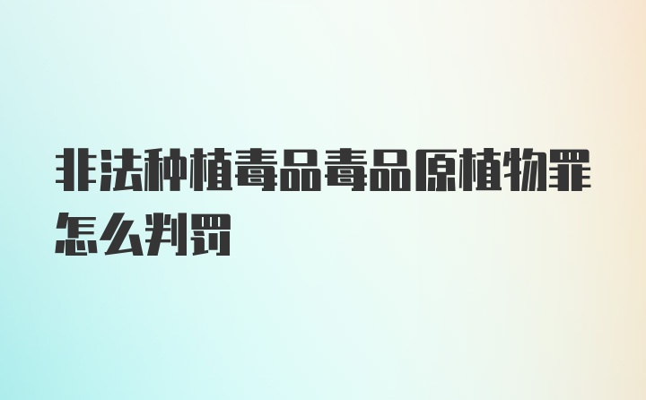 非法种植毒品毒品原植物罪怎么判罚