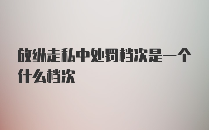 放纵走私中处罚档次是一个什么档次