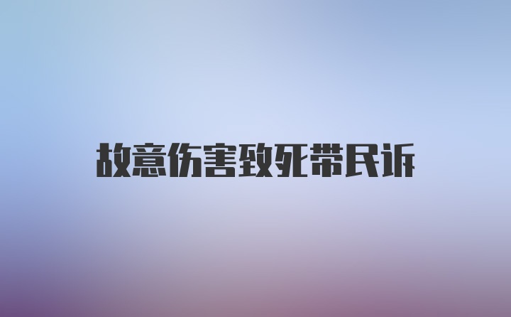 故意伤害致死带民诉