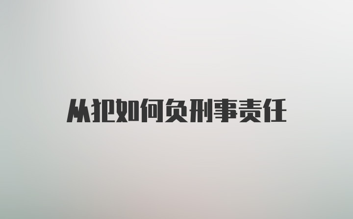 从犯如何负刑事责任