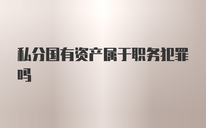 私分国有资产属于职务犯罪吗