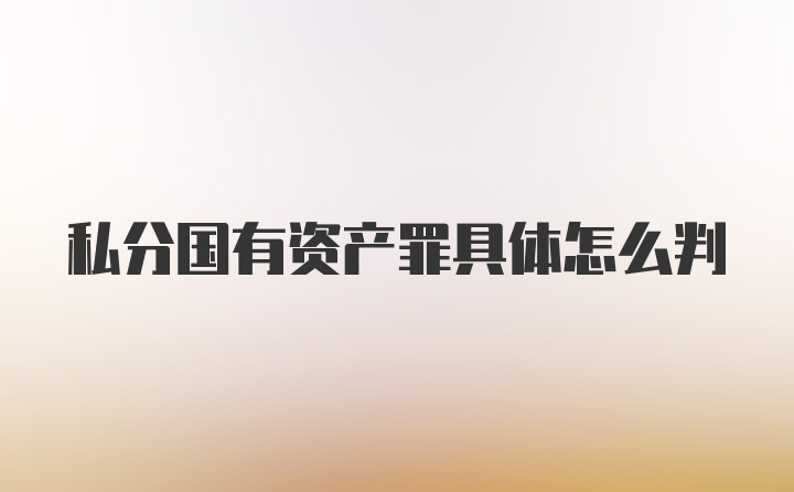 私分国有资产罪具体怎么判