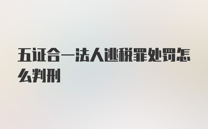 五证合一法人逃税罪处罚怎么判刑