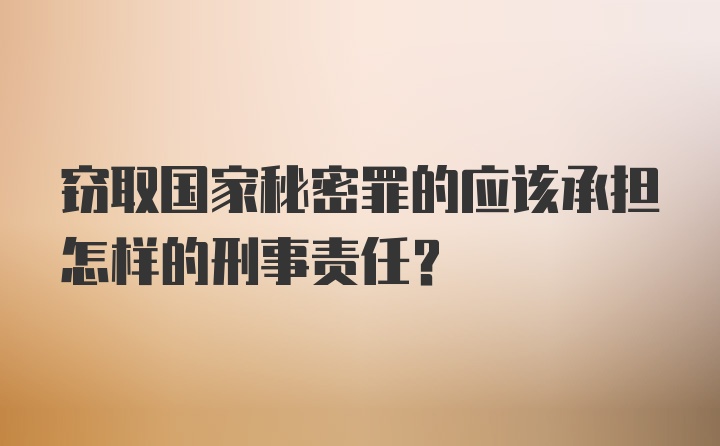 窃取国家秘密罪的应该承担怎样的刑事责任？