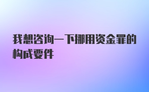 我想咨询一下挪用资金罪的构成要件