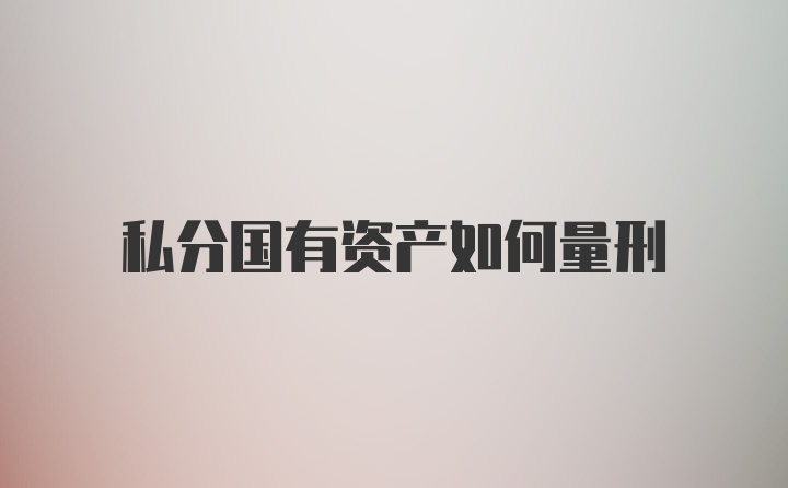 私分国有资产如何量刑