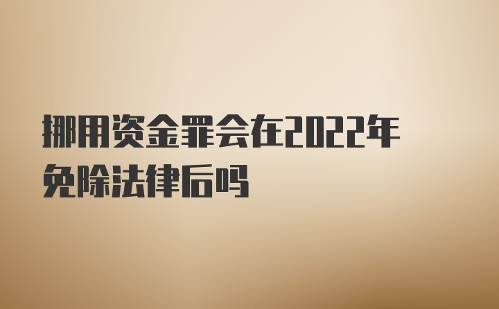 挪用资金罪会在2022年免除法律后吗