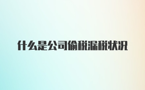 什么是公司偷税漏税状况