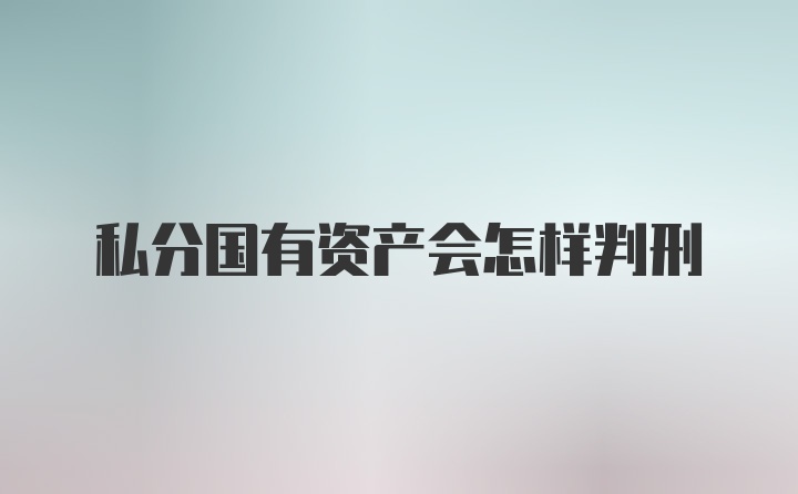 私分国有资产会怎样判刑