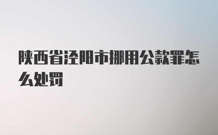 陕西省泾阳市挪用公款罪怎么处罚