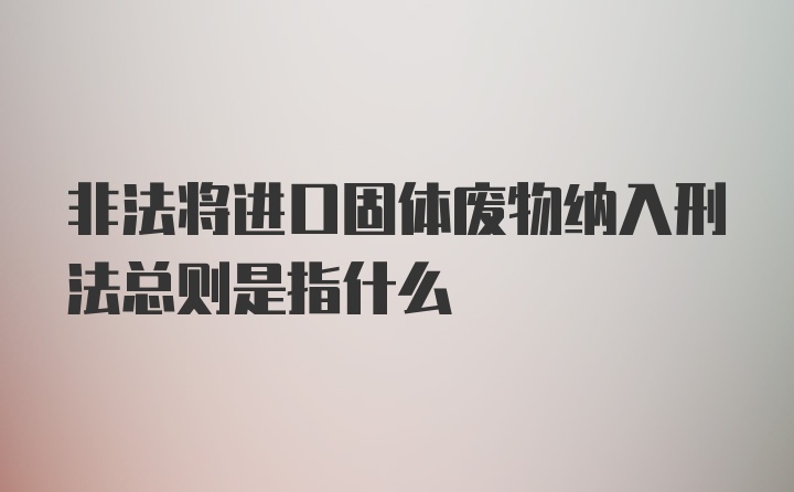 非法将进口固体废物纳入刑法总则是指什么