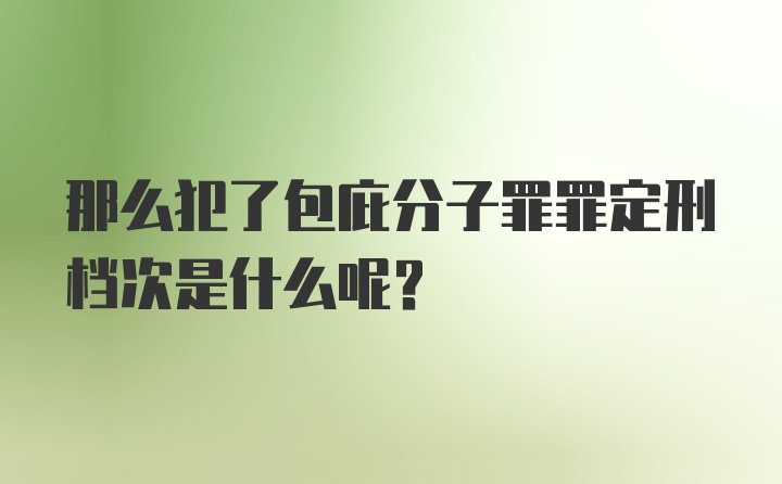 那么犯了包庇分子罪罪定刑档次是什么呢？