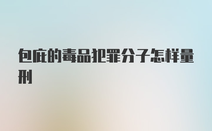 包庇的毒品犯罪分子怎样量刑