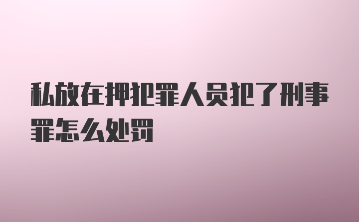 私放在押犯罪人员犯了刑事罪怎么处罚