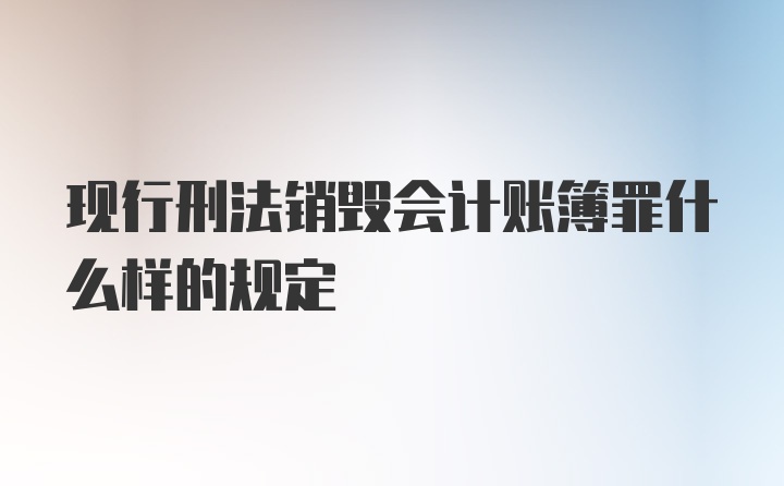 现行刑法销毁会计账簿罪什么样的规定