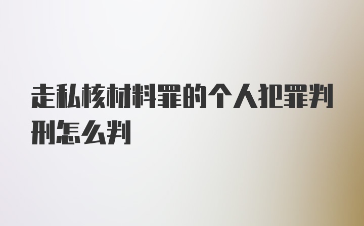 走私核材料罪的个人犯罪判刑怎么判