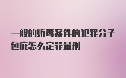 一般的贩毒案件的犯罪分子包庇怎么定罪量刑