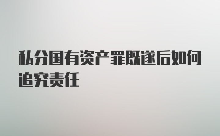 私分国有资产罪既遂后如何追究责任