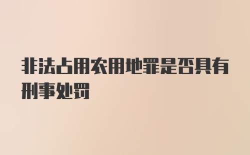 非法占用农用地罪是否具有刑事处罚