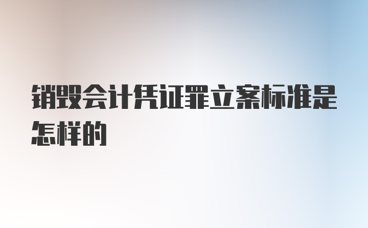 销毁会计凭证罪立案标准是怎样的