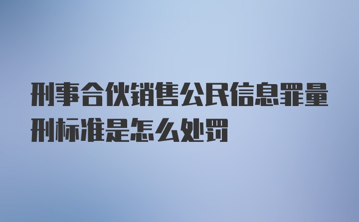 刑事合伙销售公民信息罪量刑标准是怎么处罚