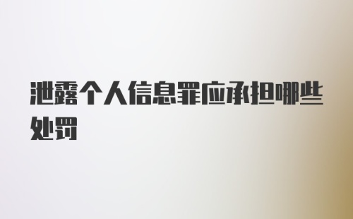 泄露个人信息罪应承担哪些处罚