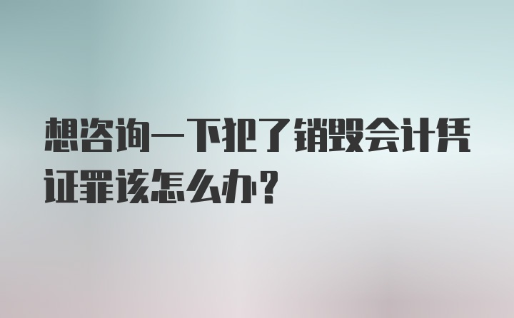 想咨询一下犯了销毁会计凭证罪该怎么办？