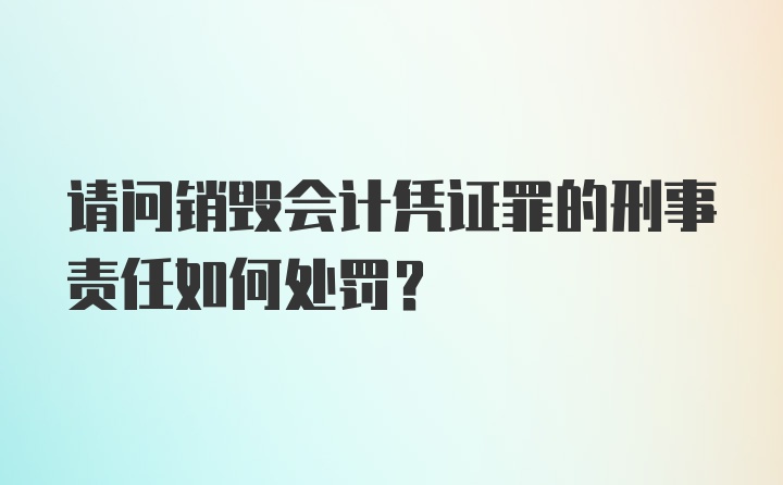 请问销毁会计凭证罪的刑事责任如何处罚?