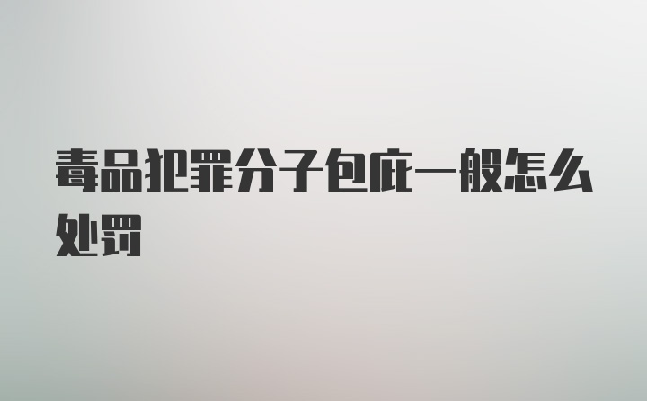 毒品犯罪分子包庇一般怎么处罚