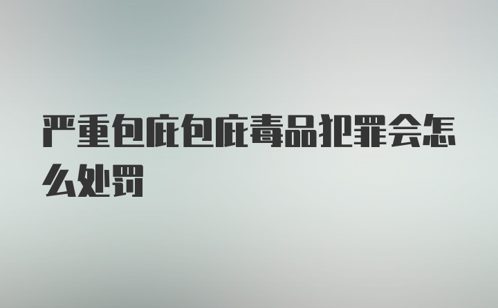 严重包庇包庇毒品犯罪会怎么处罚