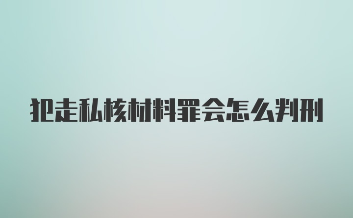 犯走私核材料罪会怎么判刑