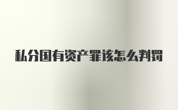 私分国有资产罪该怎么判罚