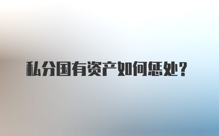 私分国有资产如何惩处？