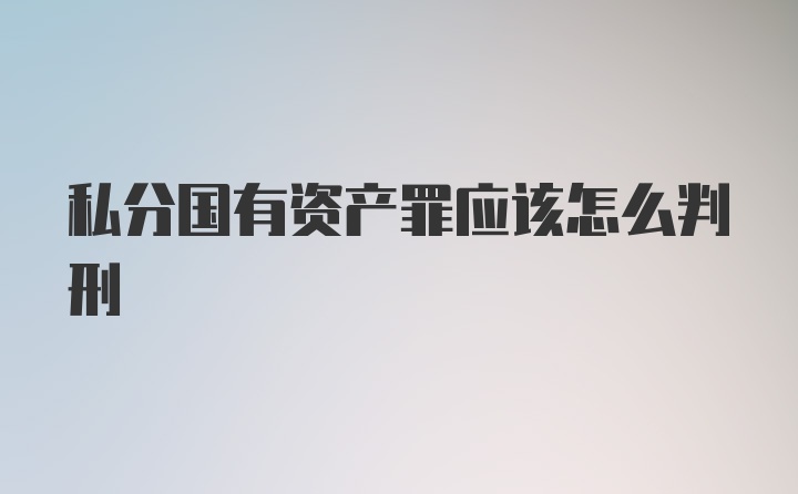 私分国有资产罪应该怎么判刑