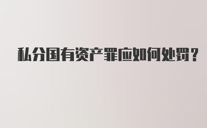 私分国有资产罪应如何处罚？