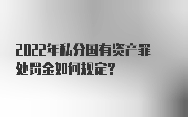 2022年私分国有资产罪处罚金如何规定？