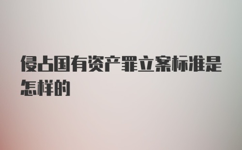 侵占国有资产罪立案标准是怎样的