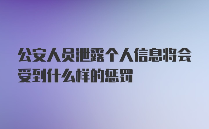 公安人员泄露个人信息将会受到什么样的惩罚