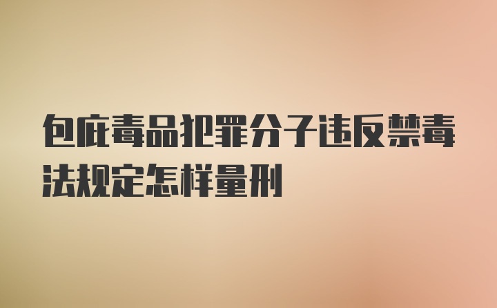 包庇毒品犯罪分子违反禁毒法规定怎样量刑