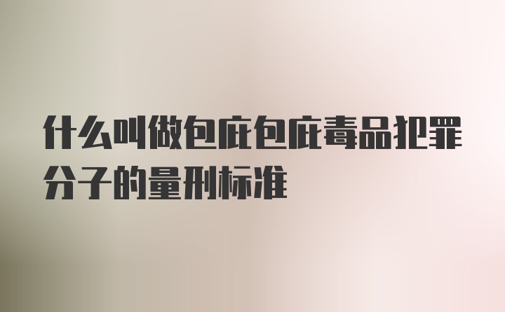 什么叫做包庇包庇毒品犯罪分子的量刑标准